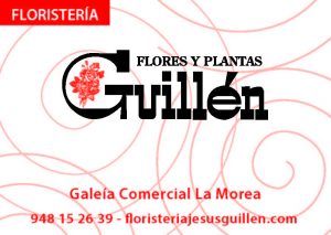 Flores y Plantas Guillén